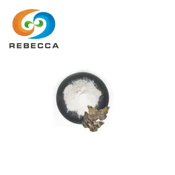 Brich Bark Extract Powder